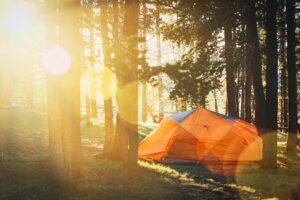 choosing a summer camp