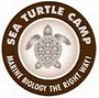 logo 29270 seaturtle o