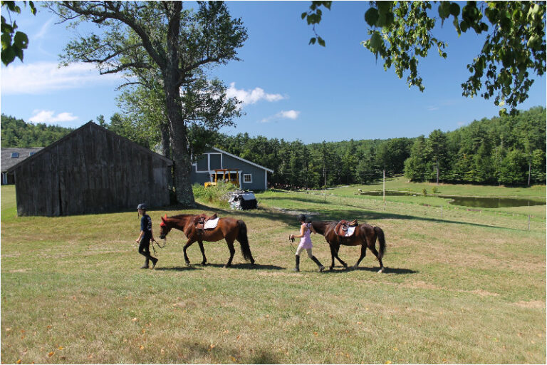 caroline-peri-walking-border caroline-peri-walking-border