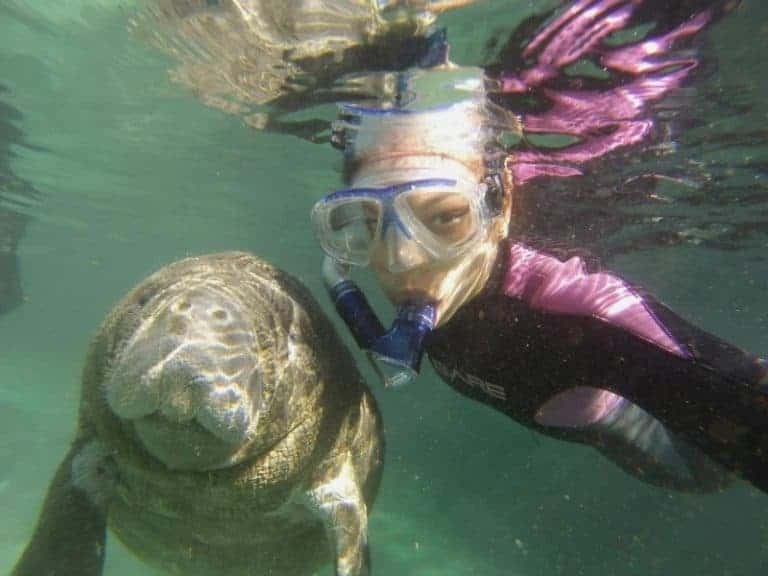 189881_519515994739161_1187202506_n 189881_519515994739161_1187202506_n