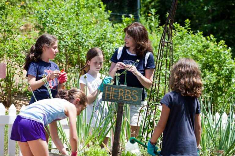 Clubs-Graden Clubs-Graden