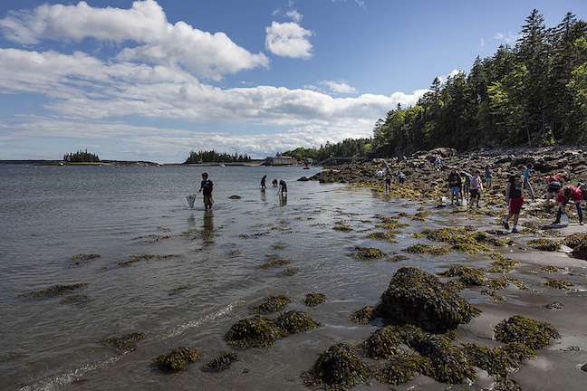 Kids exploring the shoreline during a summer camp activity at the beach. Kids exploring the shoreline during a summer camp activity at the beach.