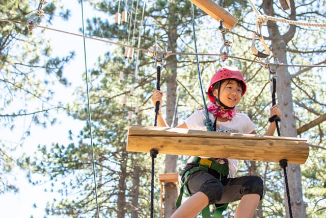 Child enjoying a ropes course at a summer camp, wearing safety gear and smiling amidst trees. Child enjoying a ropes course at a summer camp, wearing safety gear and smiling amidst trees.