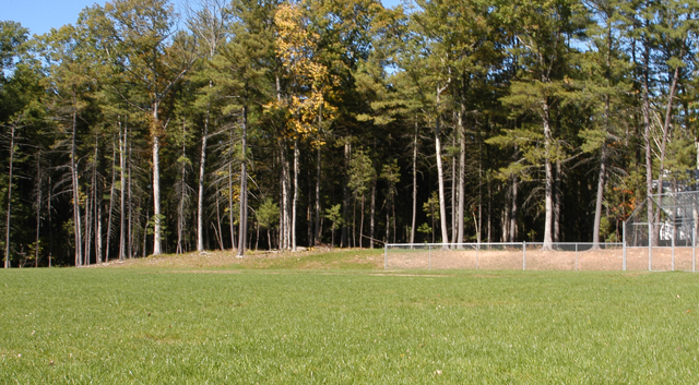 Open field bordered by dense trees at a summer camp, perfect for outdoor activities and nature exploration. Open field bordered by dense trees at a summer camp, perfect for outdoor activities and nature exploration.