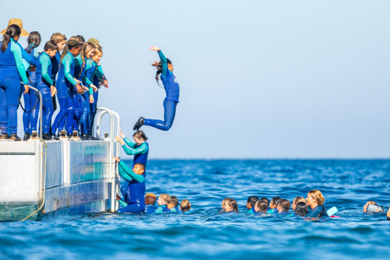 Children in wetsuits jumping into the ocean at summer camp. Fun water activities for kids to enjoy and explore. Children in wetsuits jumping into the ocean at summer camp. Fun water activities for kids to enjoy and explore.