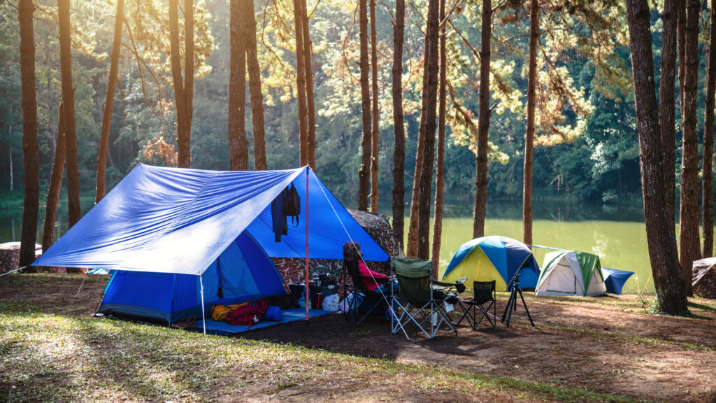 Tents set up for a summer camp in a forest by a lake, ideal outdoor adventure setting for kids.