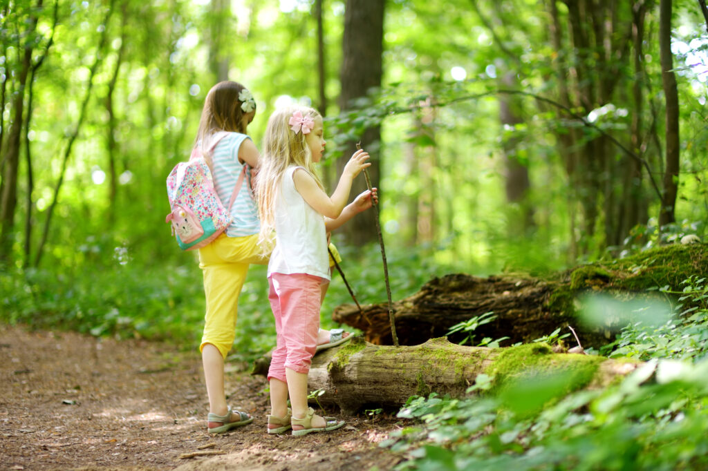Children exploring a forest trail at summer camp, with backpacks and nature all around. Perfect for directory website.