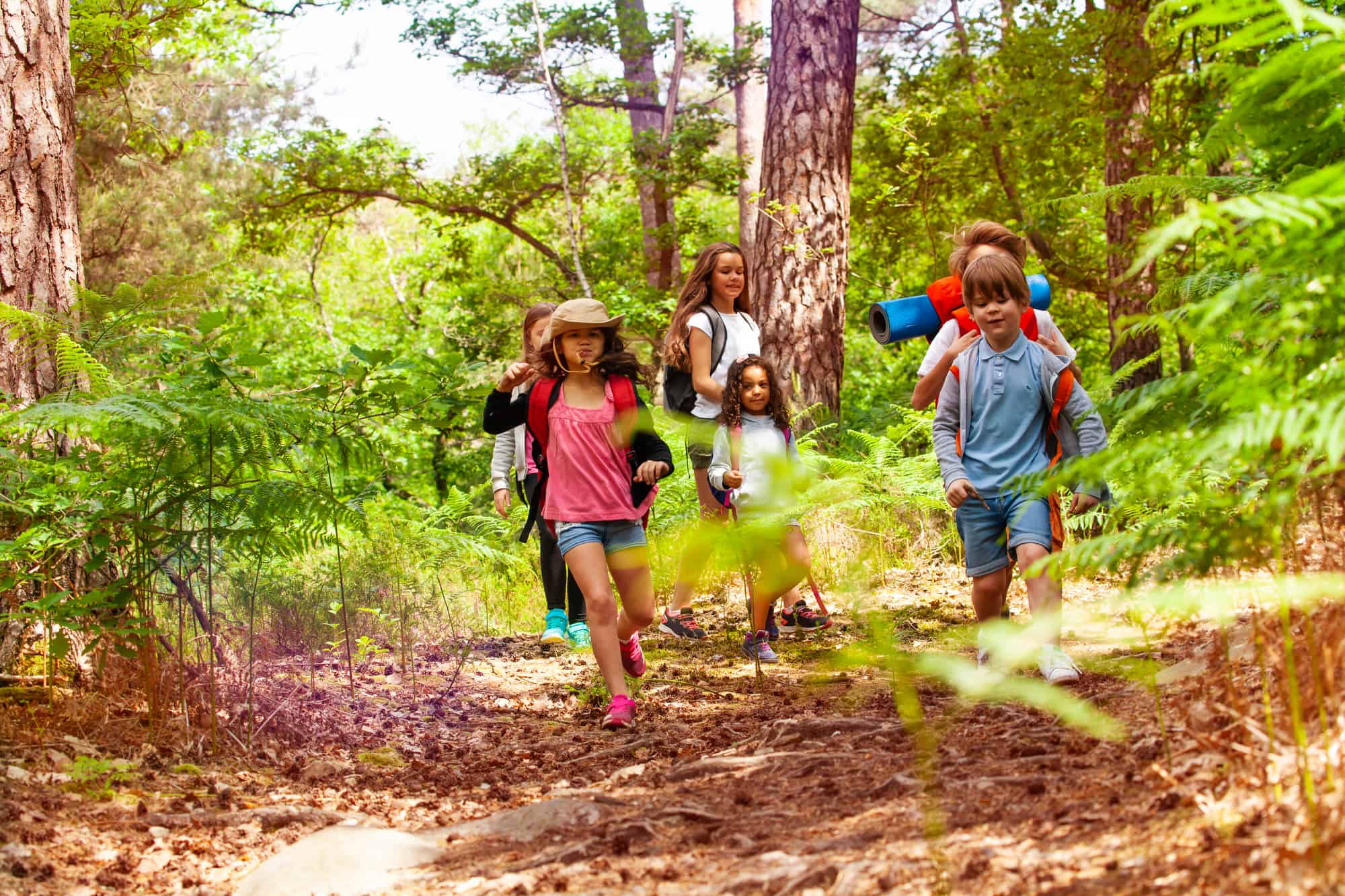 Nature Summer Camp Ideas: Activities for a Memorable Season - Summer ...