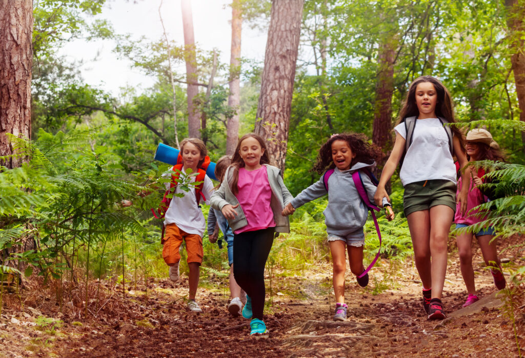 Kids joyfully hiking in a forest at summer camp, surrounded by trees and sunlight. Camping adventure fun!