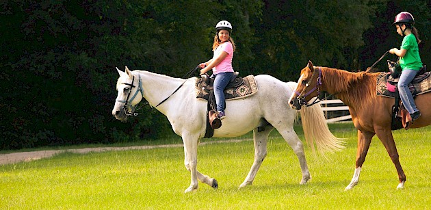 Children enjoying horseback riding at a summer camp outdoors. Children enjoying horseback riding at a summer camp outdoors.