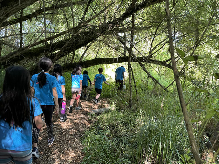 Children hiking through a lush forest at summer camp, wearing blue shirts, exploring nature's beauty. Children hiking through a lush forest at summer camp, wearing blue shirts, exploring nature's beauty.