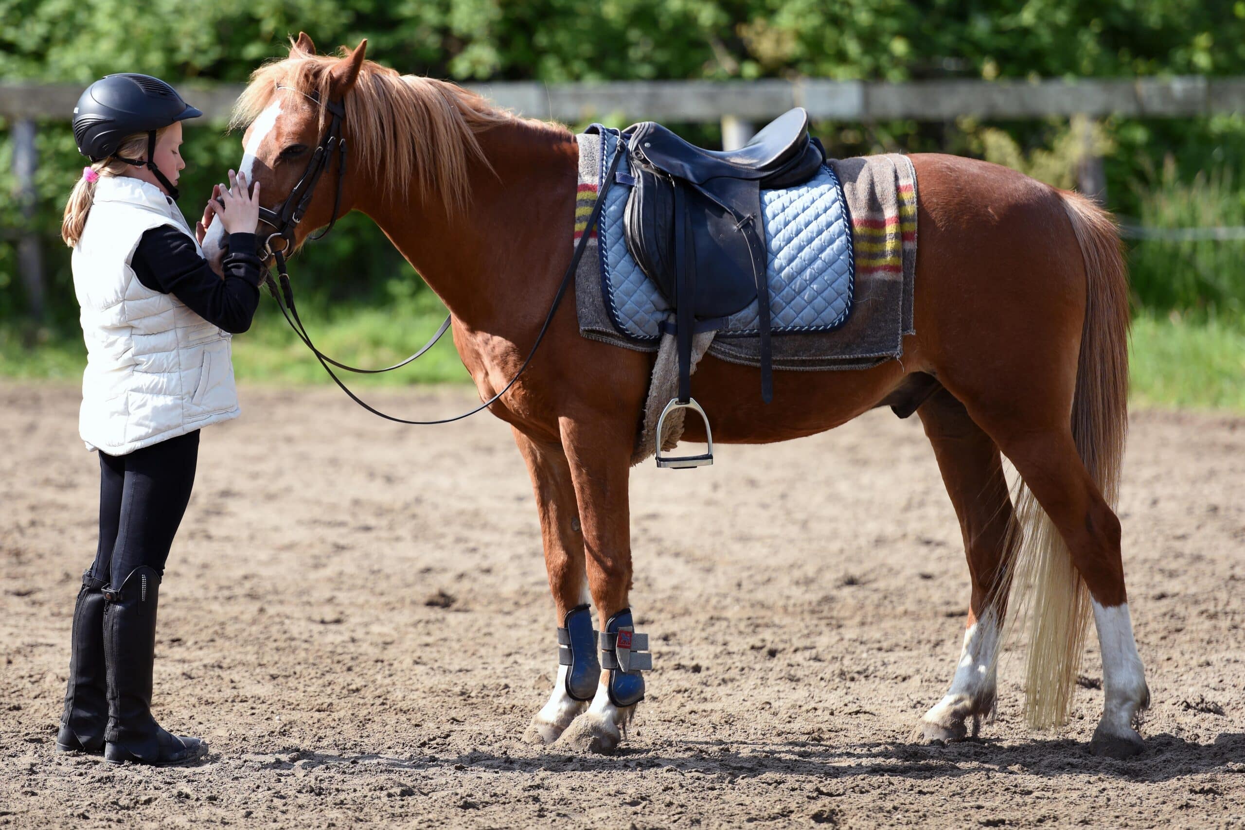 Young camper bonding with a horse during summer camp riding session.