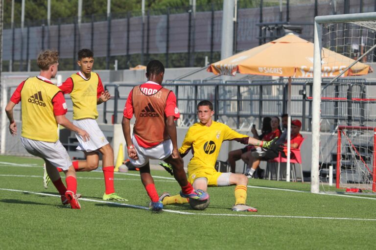 benfica training session 768x511